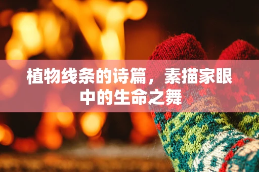 植物线条的诗篇，素描家眼中的生命之舞