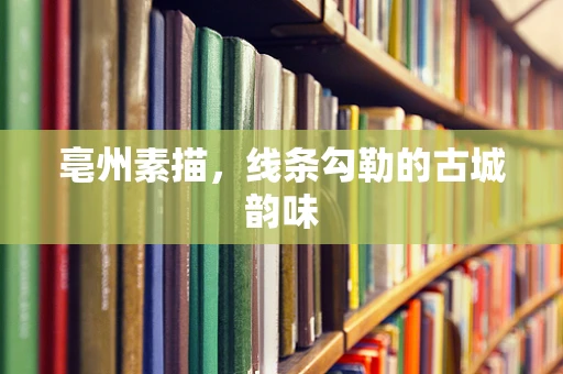 亳州素描，线条勾勒的古城韵味