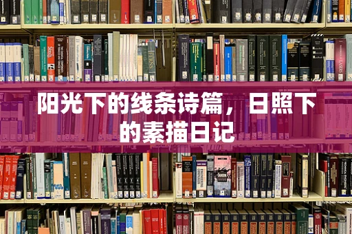阳光下的线条诗篇，日照下的素描日记