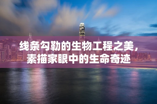 线条勾勒的生物工程之美，素描家眼中的生命奇迹