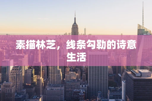 素描林芝，线条勾勒的诗意生活