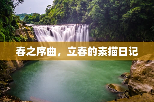 春之序曲，立春的素描日记