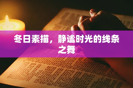 冬日素描，静谧时光的线条之舞