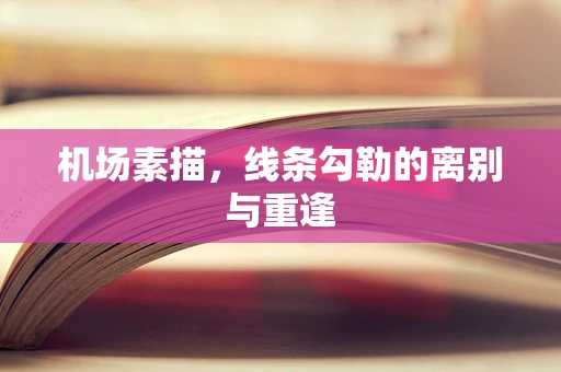 机场素描，线条勾勒的离别与重逢
