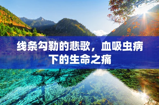 线条勾勒的悲歌，血吸虫病下的生命之痛