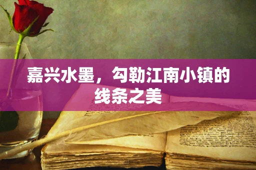 嘉兴水墨，勾勒江南小镇的线条之美