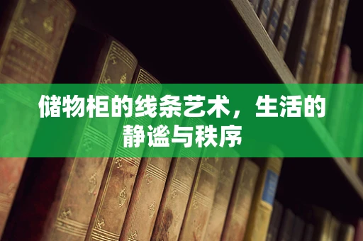 储物柜的线条艺术，生活的静谧与秩序