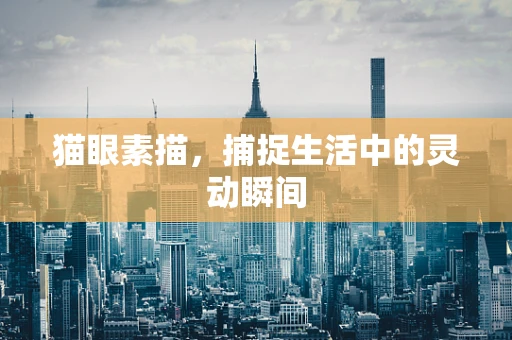 猫眼素描，捕捉生活中的灵动瞬间
