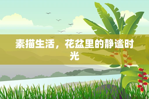 素描生活，花盆里的静谧时光