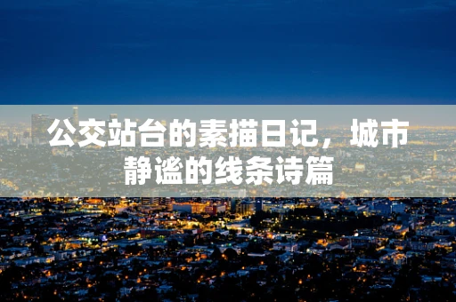公交站台的素描日记，城市静谧的线条诗篇