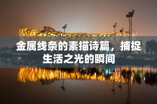 金属线条的素描诗篇，捕捉生活之光的瞬间