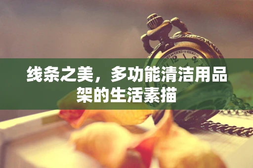 线条之美，多功能清洁用品架的生活素描