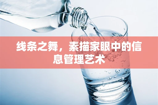 线条之舞，素描家眼中的信息管理艺术