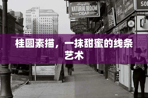 桂圆素描，一抹甜蜜的线条艺术