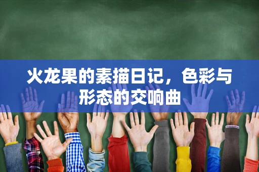 火龙果的素描日记，色彩与形态的交响曲