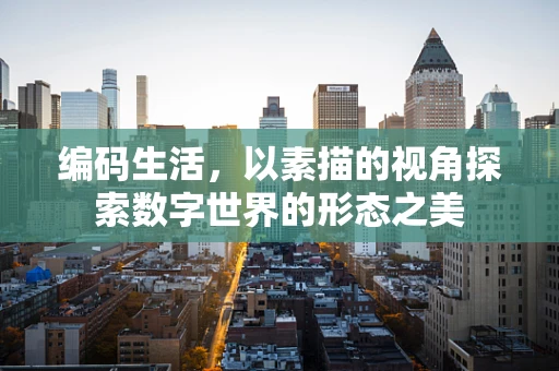编码生活，以素描的视角探索数字世界的形态之美