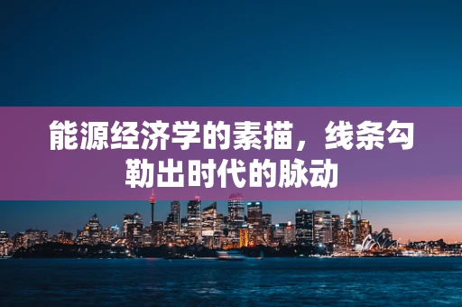 能源经济学的素描，线条勾勒出时代的脉动