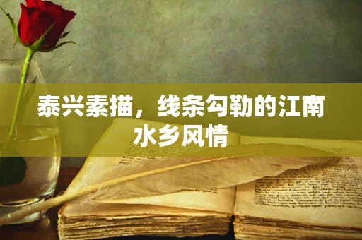 泰兴素描，线条勾勒的江南水乡风情