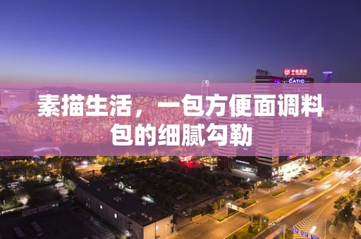 素描生活，一包方便面调料包的细腻勾勒