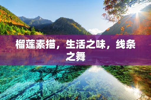 榴莲素描，生活之味，线条之舞