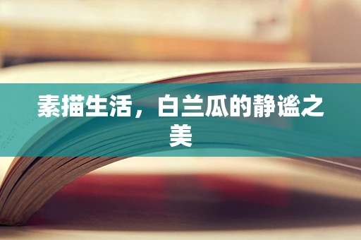 素描生活，白兰瓜的静谧之美