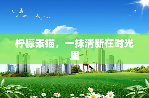 柠檬素描，一抹清新在时光里