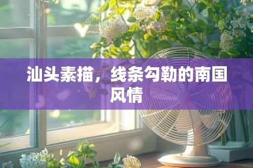 汕头素描，线条勾勒的南国风情