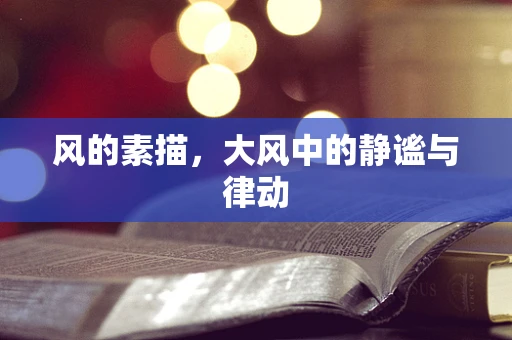 风的素描，大风中的静谧与律动