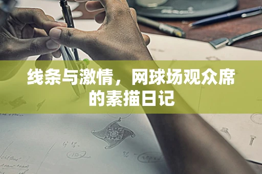 线条与激情，网球场观众席的素描日记