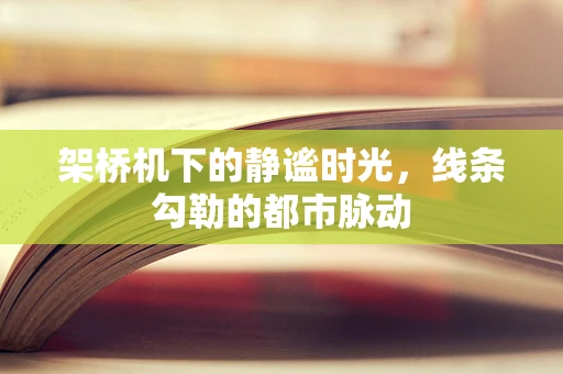 架桥机下的静谧时光，线条勾勒的都市脉动