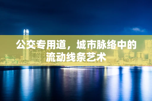 公交专用道，城市脉络中的流动线条艺术