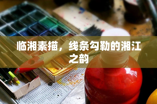 临湘素描，线条勾勒的湘江之韵