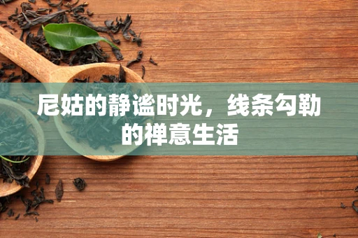 尼姑的静谧时光，线条勾勒的禅意生活