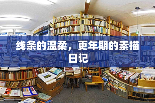 线条的温柔，更年期的素描日记