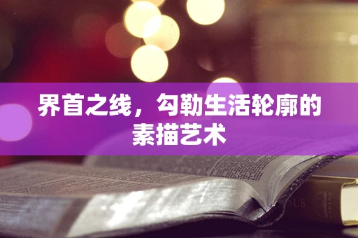 界首之线，勾勒生活轮廓的素描艺术