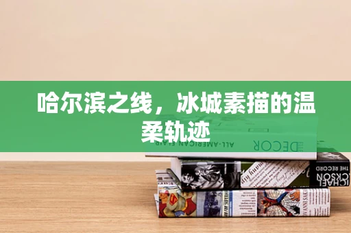 哈尔滨之线，冰城素描的温柔轨迹