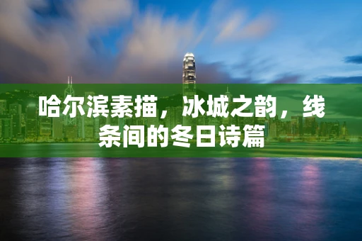 哈尔滨素描，冰城之韵，线条间的冬日诗篇