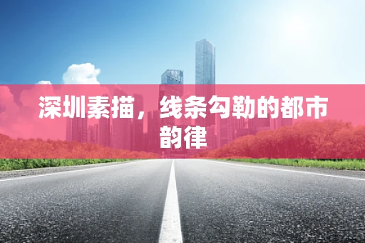 深圳素描，线条勾勒的都市韵律