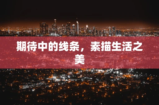 期待中的线条，素描生活之美