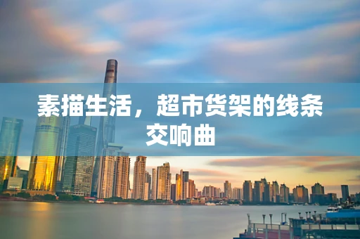 素描生活，超市货架的线条交响曲