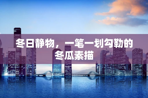 冬日静物，一笔一划勾勒的冬瓜素描