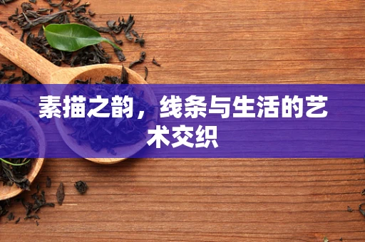 素描之韵，线条与生活的艺术交织