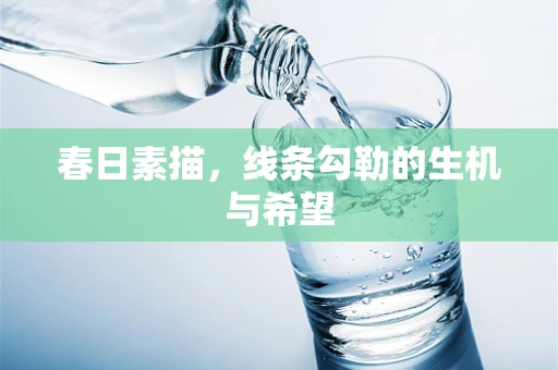 春日素描，线条勾勒的生机与希望