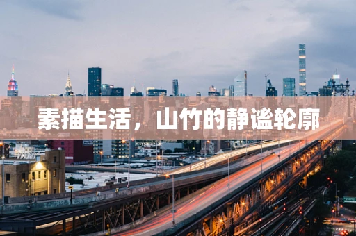 素描生活，山竹的静谧轮廓