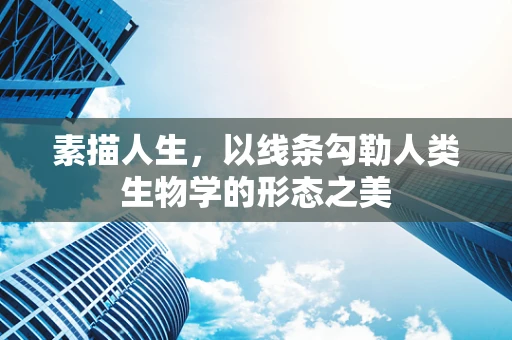 素描人生，以线条勾勒人类生物学的形态之美