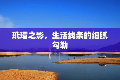 玳瑁之影，生活线条的细腻勾勒