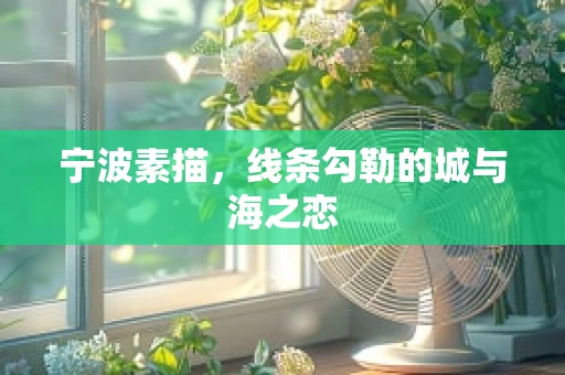 宁波素描，线条勾勒的城与海之恋