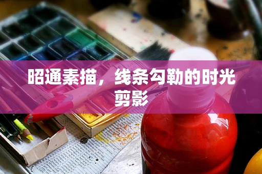 昭通素描，线条勾勒的时光剪影