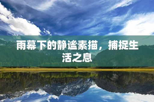 雨幕下的静谧素描，捕捉生活之息