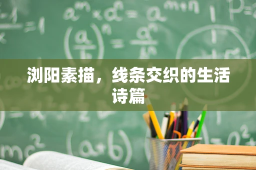 浏阳素描，线条交织的生活诗篇
